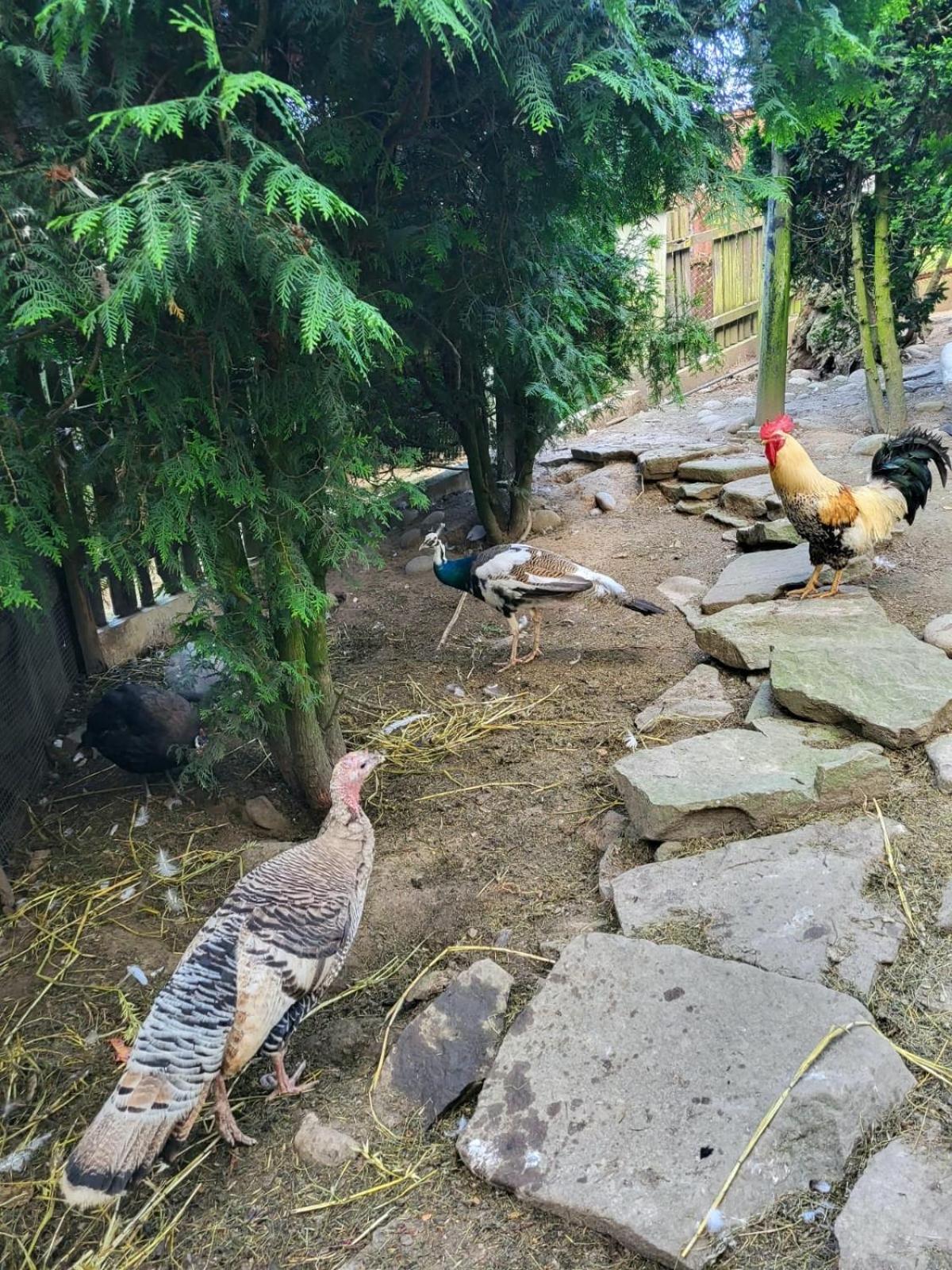 Koperkowe Rancho Beskid Wyspowy Domek Malopolskie Kamionna Kamionna  エクステリア 写真