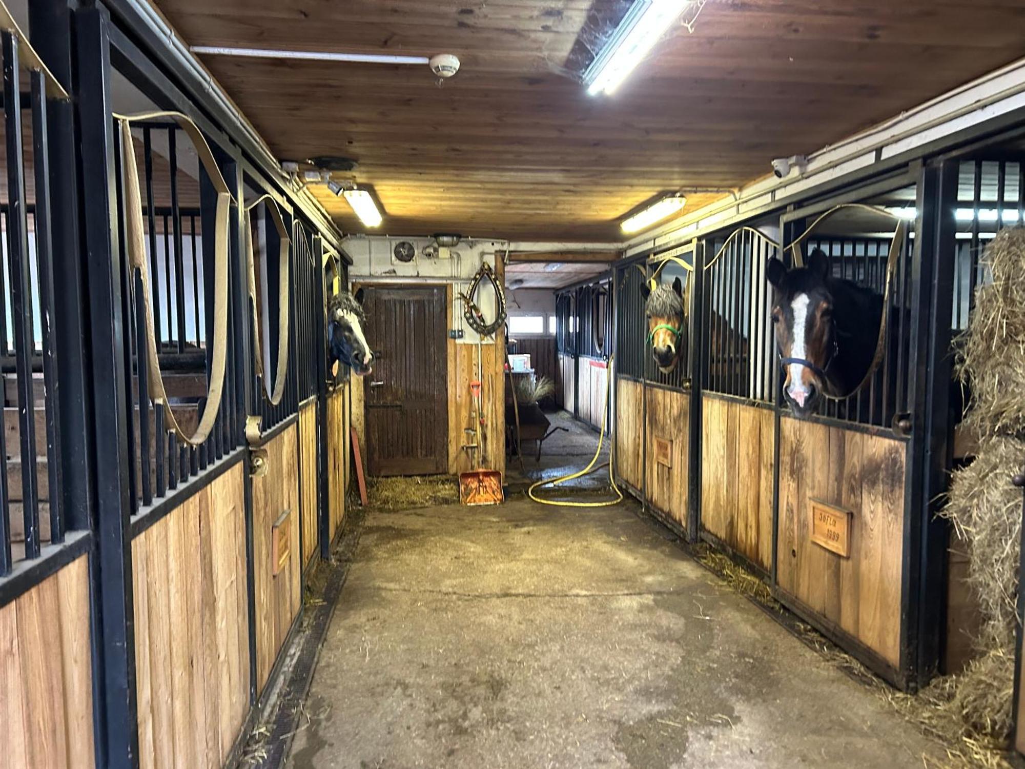 Koperkowe Rancho Beskid Wyspowy Domek Malopolskie Kamionna Kamionna  エクステリア 写真